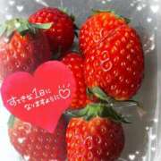 ヒメ日記 2025/02/19 12:03 投稿 めい 脱がされたい人妻 成田店