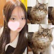 ヒメ日記 2025/06/19 12:04 投稿 れな 学園collection