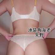 ヒメ日記 2025/08/17 21:33 投稿 矢野 池袋角海老