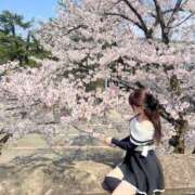 ヒメ日記 2025/04/09 17:30 投稿 白雪るり ヌルテカ