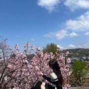 ヒメ日記 2025/04/10 16:20 投稿 白雪るり ヌルテカ