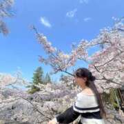 ヒメ日記 2025/04/14 14:30 投稿 白雪るり ヌルテカ