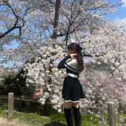 ヒメ日記 2025/04/15 13:00 投稿 白雪るり ヌルテカ