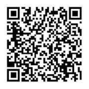 ヒメ日記 2024/12/19 09:45 投稿 まいこ セレブクエスト-omiya-