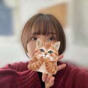 ヒメ日記 2024/12/19 15:55 投稿 まいこ セレブクエスト-omiya-