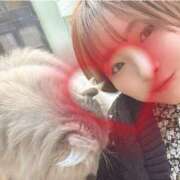 ヒメ日記 2025/02/13 20:49 投稿 まいこ セレブクエスト-omiya-