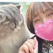 ヒメ日記 2025/03/08 11:45 投稿 まいこ セレブクエスト-omiya-