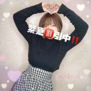 ヒメ日記 2025/03/17 12:45 投稿 まいこ セレブクエスト-omiya-