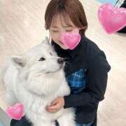 ヒメ日記 2025/03/22 13:25 投稿 まいこ セレブクエスト-omiya-