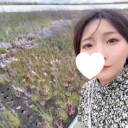 ヒメ日記 2025/06/02 12:42 投稿 まいこ セレブクエスト-omiya-