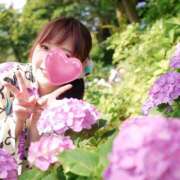 ヒメ日記 2025/06/19 16:10 投稿 まいこ セレブクエスト-omiya-