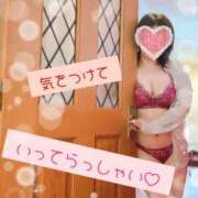 ヒメ日記 2025/05/19 08:41 投稿 せな 即アポ奥さん〜名古屋店〜