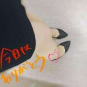 ヒメ日記 2025/07/27 23:41 投稿 せな 即アポ奥さん〜名古屋店〜