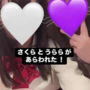 ヒメ日記 2024/12/10 21:38 投稿 さくら 三つ乱本館