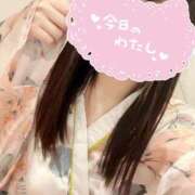 ヒメ日記 2024/12/29 06:37 投稿 さくら 三つ乱本館