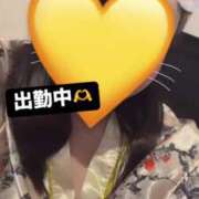 ヒメ日記 2025/01/12 09:37 投稿 さくら 三つ乱本館