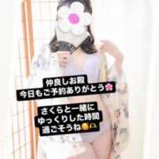 ヒメ日記 2025/01/25 05:47 投稿 さくら 三つ乱本館