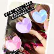 ヒメ日記 2025/01/25 10:27 投稿 さくら 三つ乱本館