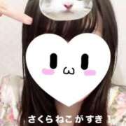 ヒメ日記 2025/01/25 12:47 投稿 さくら 三つ乱本館