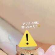 ヒメ日記 2025/02/08 22:17 投稿 さくら 三つ乱本館