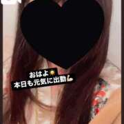 ヒメ日記 2025/02/22 08:57 投稿 さくら 三つ乱本館