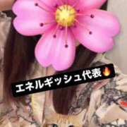 ヒメ日記 2025/02/22 10:27 投稿 さくら 三つ乱本館