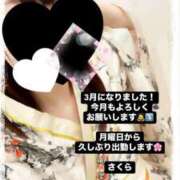 ヒメ日記 2025/03/01 16:47 投稿 さくら 三つ乱本館