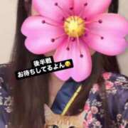 ヒメ日記 2025/03/03 16:02 投稿 さくら 三つ乱本館