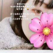 ヒメ日記 2025/03/13 18:27 投稿 さくら 三つ乱本館