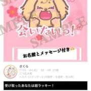 ヒメ日記 2025/03/13 19:47 投稿 さくら 三つ乱本館