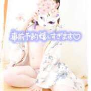 ヒメ日記 2025/03/15 04:37 投稿 さくら 三つ乱本館