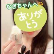 ヒメ日記 2025/03/20 07:07 投稿 さくら 三つ乱本館