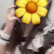 ヒメ日記 2025/03/20 10:08 投稿 さくら 三つ乱本館