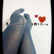 ヒメ日記 2025/03/21 12:27 投稿 さくら 三つ乱本館