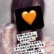 ヒメ日記 2025/03/23 06:19 投稿 さくら 三つ乱本館