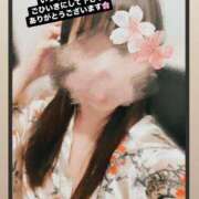 ヒメ日記 2025/03/27 06:17 投稿 さくら 三つ乱本館