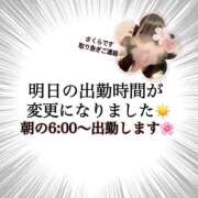 ヒメ日記 2025/03/28 11:47 投稿 さくら 三つ乱本館