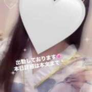 ヒメ日記 2025/03/29 07:47 投稿 さくら 三つ乱本館