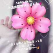 ヒメ日記 2025/04/01 13:01 投稿 さくら 三つ乱本館