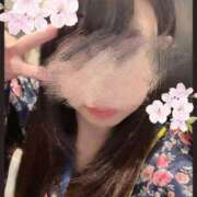 ヒメ日記 2025/04/05 05:47 投稿 さくら 三つ乱本館