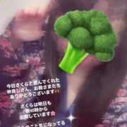 ヒメ日記 2025/04/05 13:12 投稿 さくら 三つ乱本館