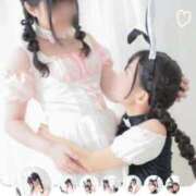 ヒメ日記 2025/04/09 11:57 投稿 さくら 三つ乱本館