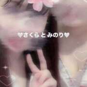 ヒメ日記 2025/04/10 07:17 投稿 さくら 三つ乱本館