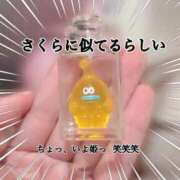 ヒメ日記 2025/04/14 21:17 投稿 さくら 三つ乱本館