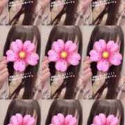 ヒメ日記 2025/04/16 15:37 投稿 さくら 三つ乱本館