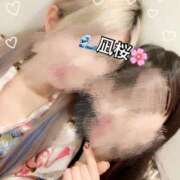 ヒメ日記 2025/04/16 16:37 投稿 さくら 三つ乱本館