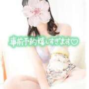 ヒメ日記 2025/04/17 01:37 投稿 さくら 三つ乱本館