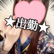 ヒメ日記 2025/04/17 06:28 投稿 さくら 三つ乱本館