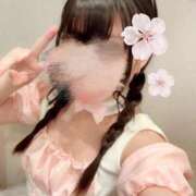 ヒメ日記 2025/04/19 13:28 投稿 さくら 三つ乱本館