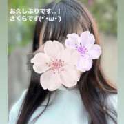 ヒメ日記 2025/05/02 20:57 投稿 さくら 三つ乱本館